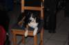 img_3500_small.jpg